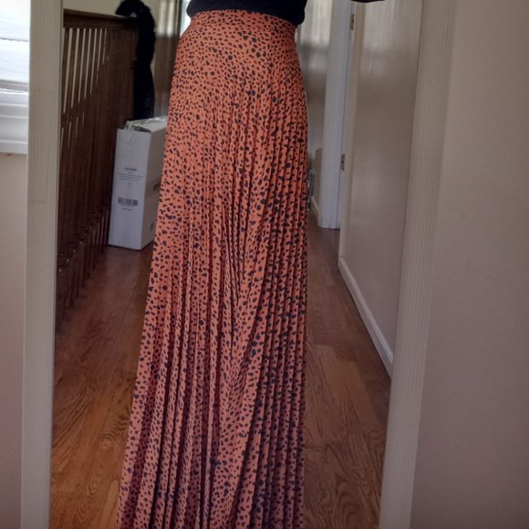 Pashmina Pleated Maxi Skirt - Picture 2 of 2